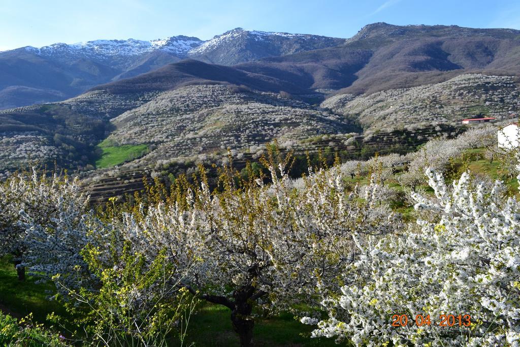 Appartement Senderos Del Jerte
