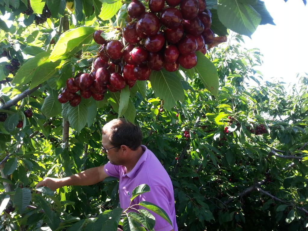 Senderos Del Jerte Appartamento *